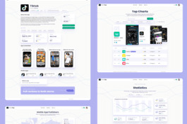 App Statistics Platform Development